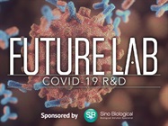 Human Coronavirus Research Reagents
