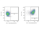 Excellent Antibody