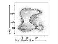 Sca1-Pacific Blue