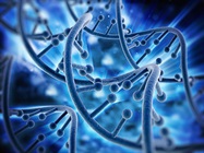 Tools for Single-Cell CNV Detection
