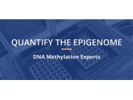 Quantify DNA Methylation – Accurate, Sensitive, and Cost-effective: