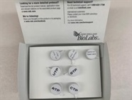 Great HiScribe RNA Synthesis Kit