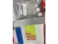 RNeasy Plus Mini Kit Works Well