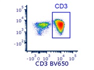 Human CD3 Antibody Works Well