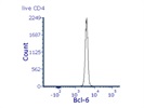 Bcl-6 Antibody Works on Human Cells