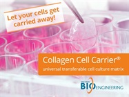 Universal Collagen Cell Carrier matrix for 2D and 3D cultures – ideal for regenerative medicine!