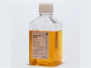 High Quality Fetal Bovine Serum