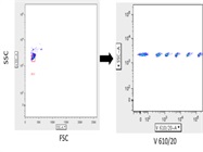 Reliable 6-peak Beads for Calibrating Flow Cytometer
