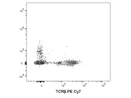 TCR beta Antibody, PE-Cyanine7, eBioscience Works Great