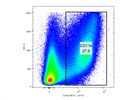 Using CD11b to Detect Myeloid Cells