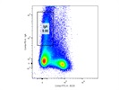 Using IgA to Detect Plasma Cells