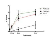 Good Antibody for IP and ChIP