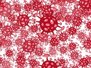 Finding the Right Viral Vaccine Vector
