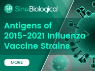 Recombinant Antigens of 2015-2021 Influenza Vaccine Strains