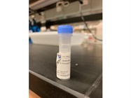 Measuring Histamine Expression