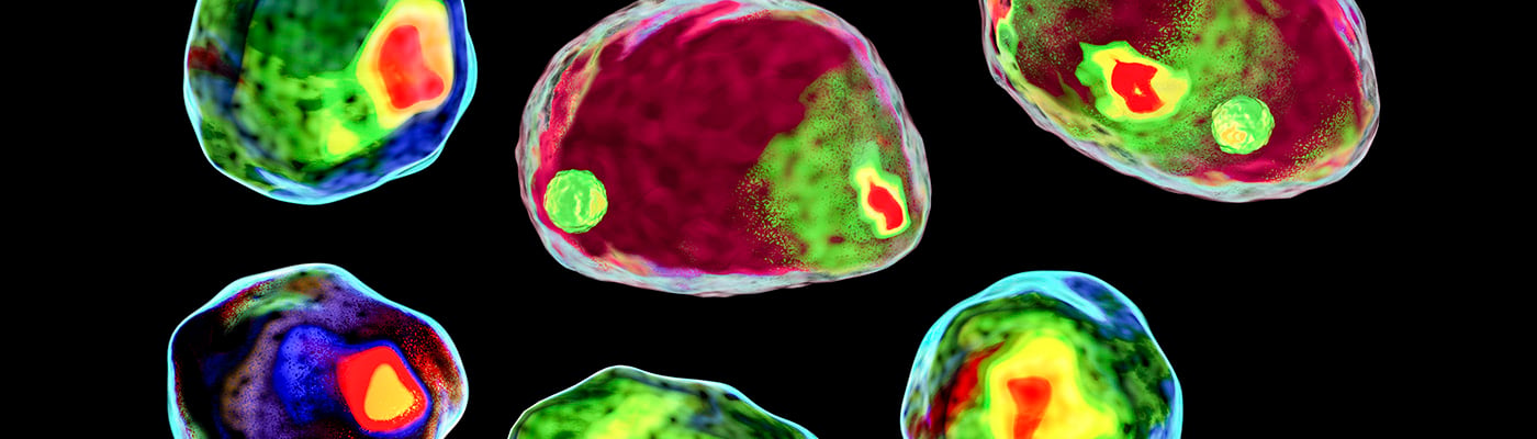  Improved Data Analysis Makes Imaging Flow Cytometry More Accessible