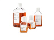 Fetal Bovine Serum