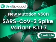 SARS-CoV-2 Spike Variant B.1.1.7 Available