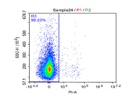 PI is a Simple but Effective live/dead Stain