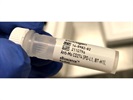 PD-L1 Antibody for Flow Cytometry Detection