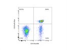 Staining Peripheral Blood with anti-CD3 Alexa488