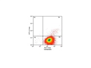 CCL2 Expressed by Fibroblasts