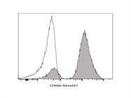 Staining Peripheral Blood with Anti-CD66b Alexa647