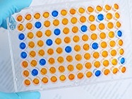 ELISAs for (almost) every cytokine