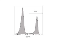 Staining Peripheral Blood with Anti-CD8 FITC