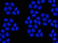 Two (or Three) sgRNAs Are Better than One