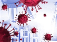 Neutralizing Antibodies in the Fight against COVID-19