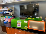 MACSQuant® Tyto® Cell Sorter Works Well