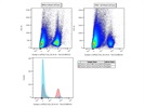 Good Antibody to Stain Red Blood Cells