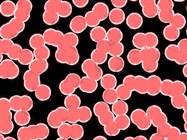 Selecting a Cell Proliferation Measurement Tool