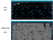 Bright Nuclear Dye for Image Microscopy