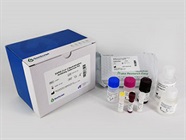 cPass™ Technology for the rapid detection of total neutralizing antibodies