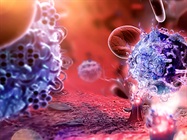 Using a Cell Surface Screening Tool to Identify Novel Markers of Lymphoid Primed Progenitors