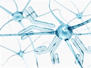 Best Practices for Antibody Validation