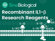 Recombinant IL1-ß Research Reagents