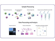 Expand Your Single-Cell Genomics Studies with Proteomics
