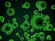 SARS CoV-2 Mutations Provide Clues on Origins, Spread