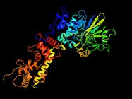 Protein Biomarkers Prove Invaluable in Drug Development