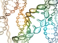Why Automate Nucleic Acid Purification?