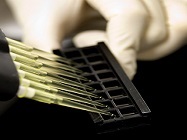 Quantitative Antibody Arrays