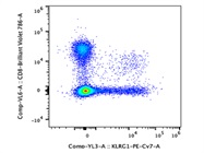 The Antibody Stains KLRG1+ T Cells Very Well