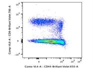 Reliably Stains CD44+ T Cells