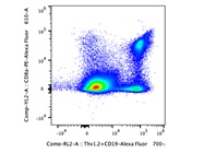 Strong Staining for CD8+