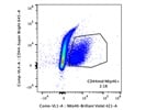 Stains NKp46+ Cells Well