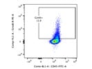Great Gzmb+ Staining