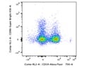 The Antibody Stains CD86+ Cells Well